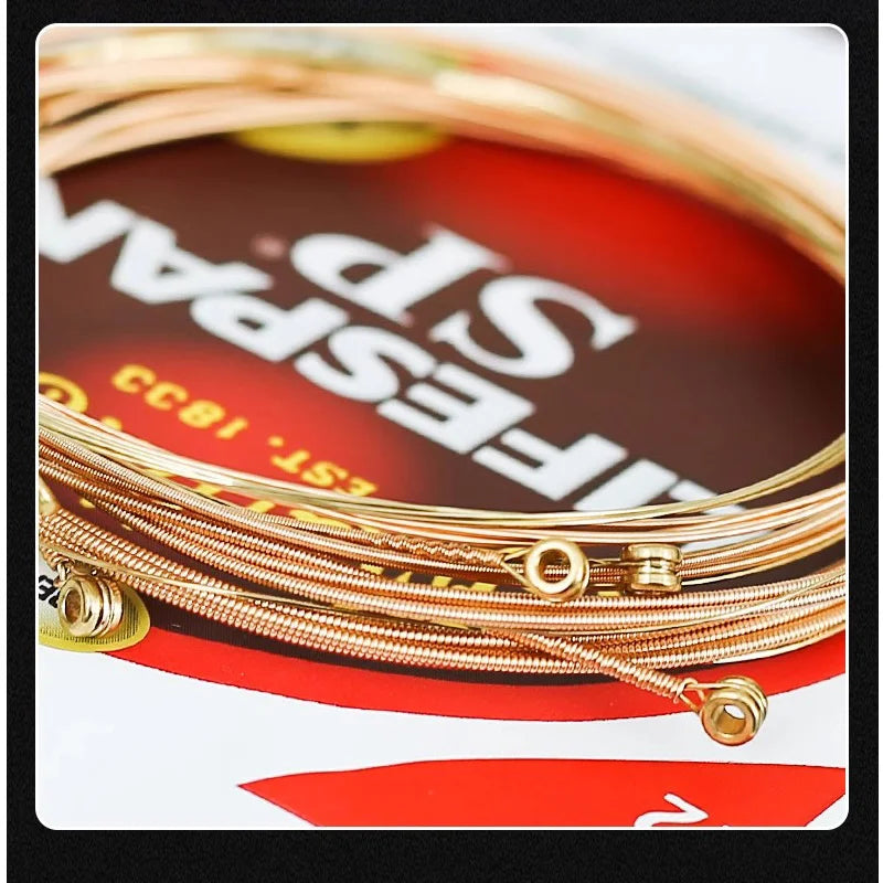 6 Sets Martin & Co Acoustic Guitar Strings